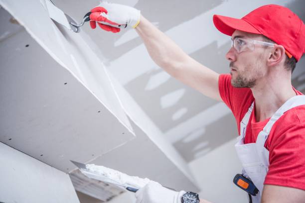 Best Fire-Damaged Drywall Repair  in Grove City, PA